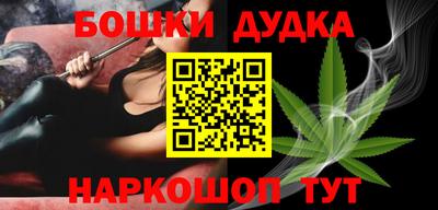 гидра Новозыбков