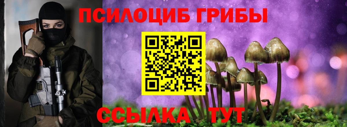 Псилоцибиновые грибы Cubensis  Вход с VPN  Галлюциногенные грибы Psilocybine cubensis  Ставрополь 